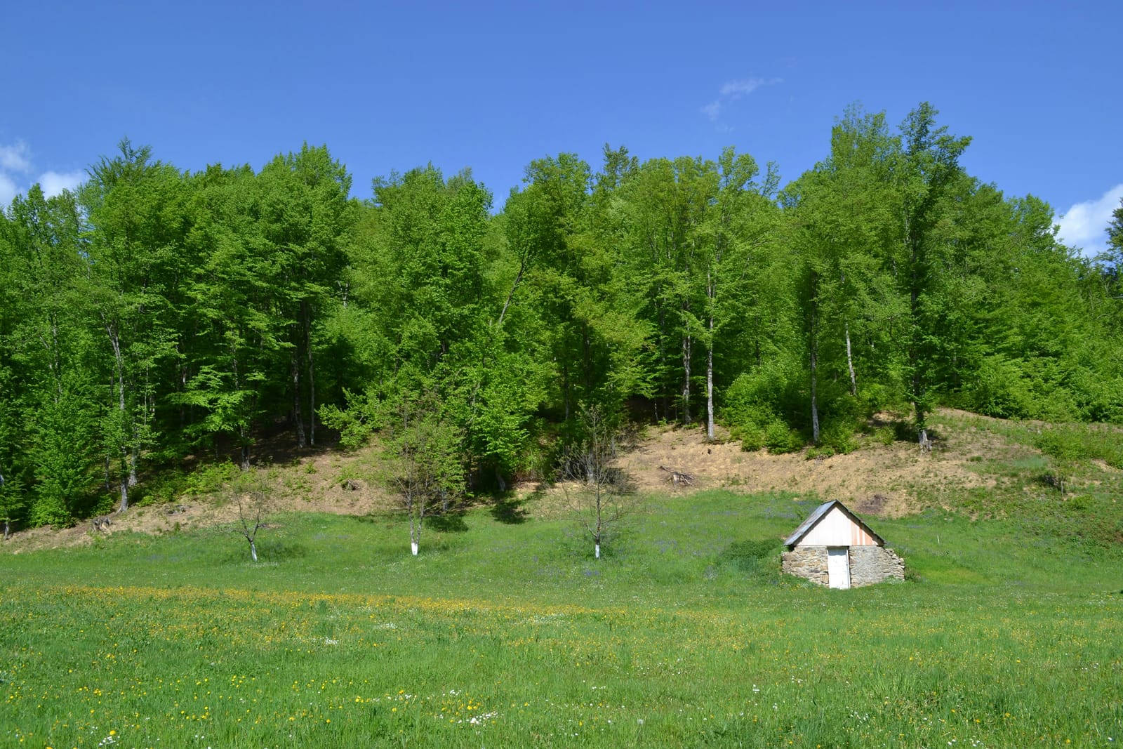 Плац, 2389 м², Карпош – фотографија 1